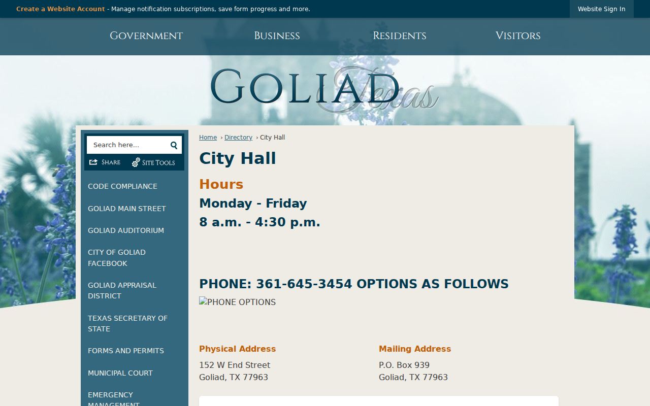 Goliad court docket access at City Hall